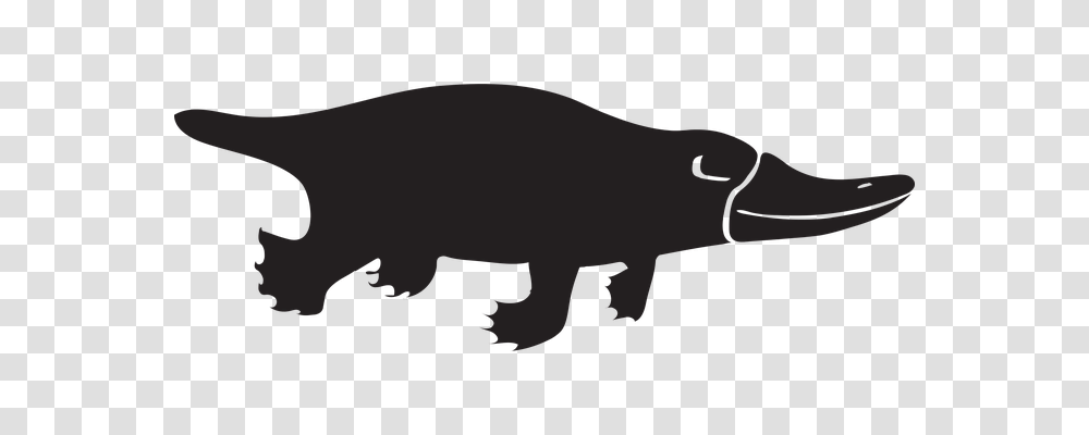 Platypus Icon Mammal, Animal, Wildlife, Hippo Transparent Png