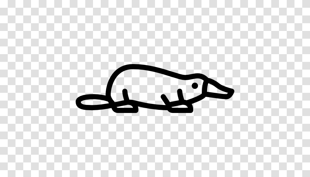 Platypus Icon, Sunglasses, Animal, Silhouette, Sea Life Transparent Png