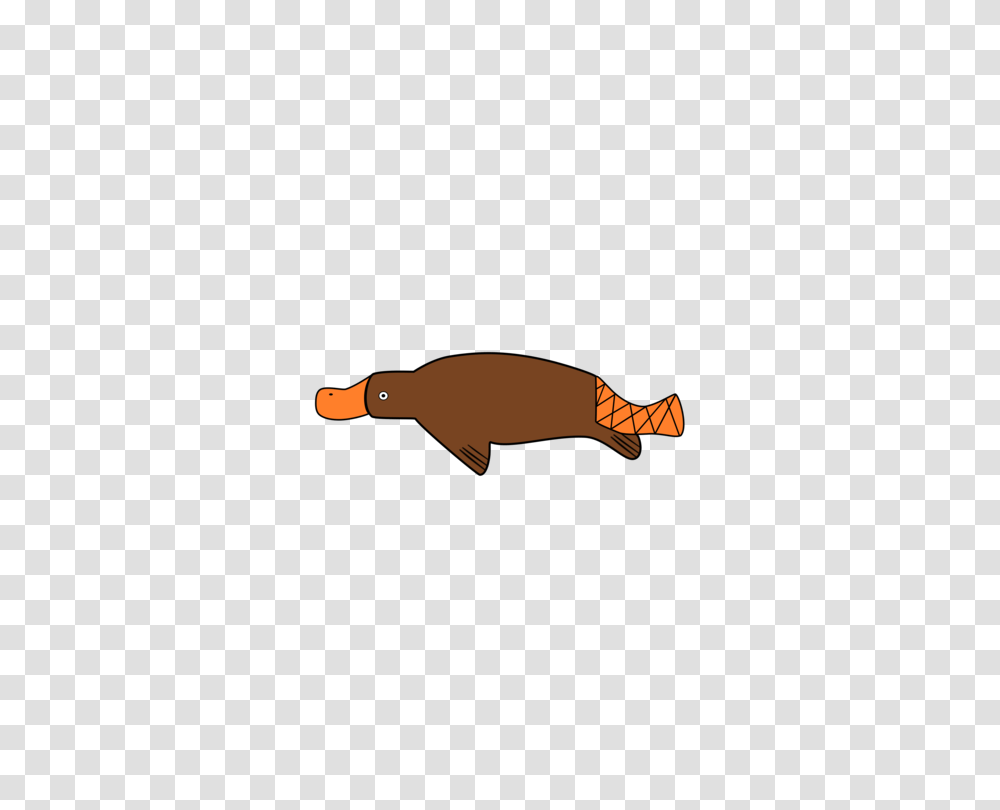 Platypus T Shirt Paper Greeting Note Cards Stationery Free, Mammal, Animal, Fish, Wildlife Transparent Png