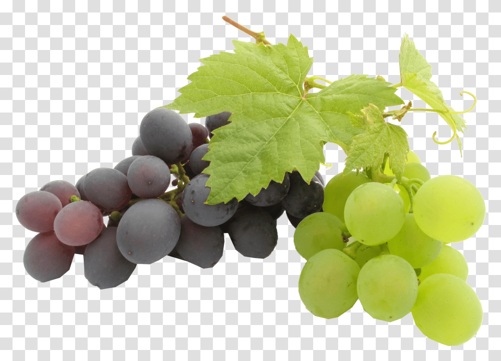 Play Background Sonaka Seedless Grapes, Plant, Fruit, Food, Fungus Transparent Png