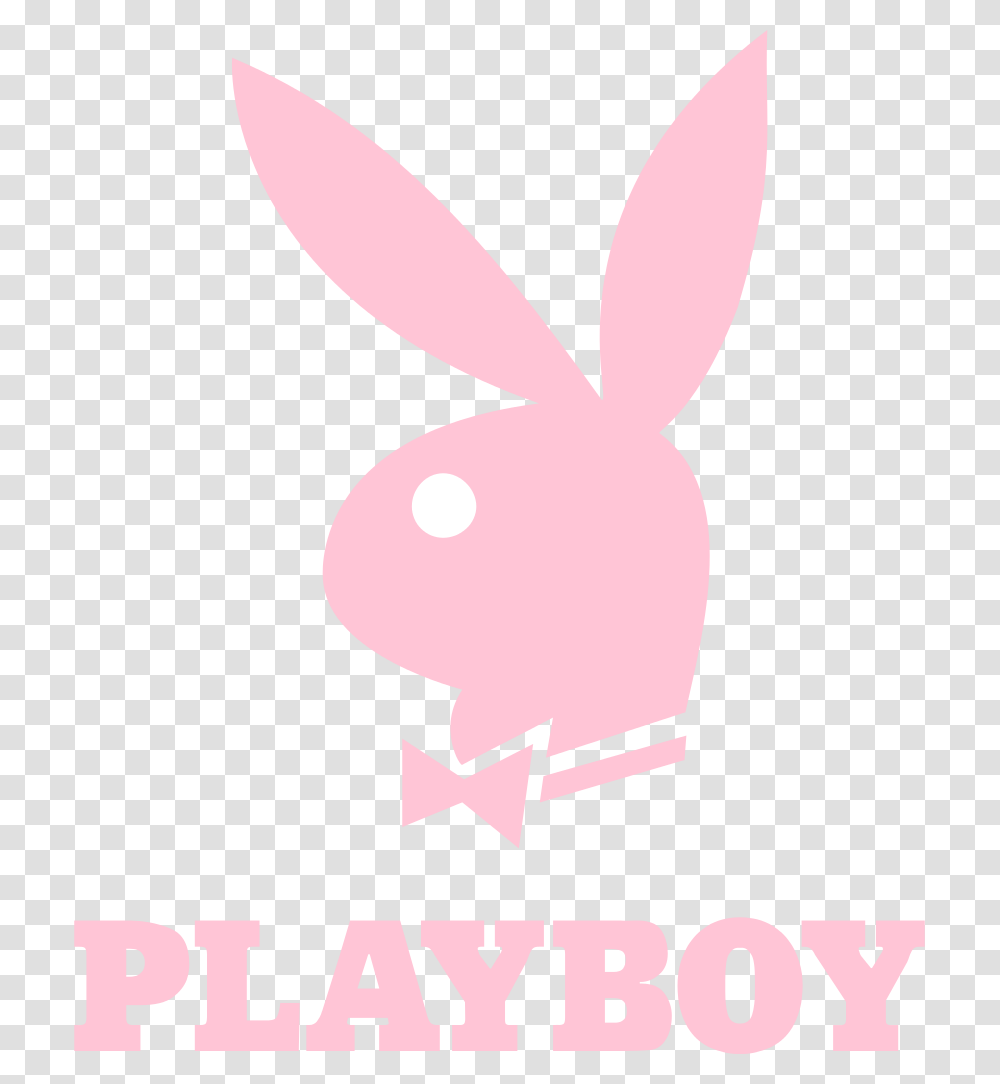 Play Boy, Petal, Flower, Plant, Home Decor Transparent Png