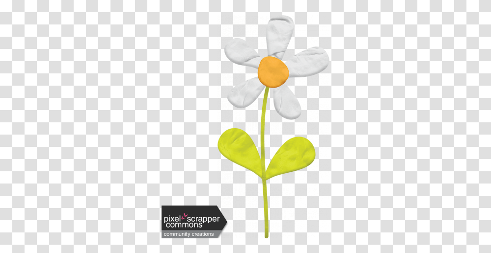 Play Dough Flower Graphic By Gina Jones Pixel Scrapper Play Dough Flower White, Plant, Petal, Blossom, Anemone Transparent Png