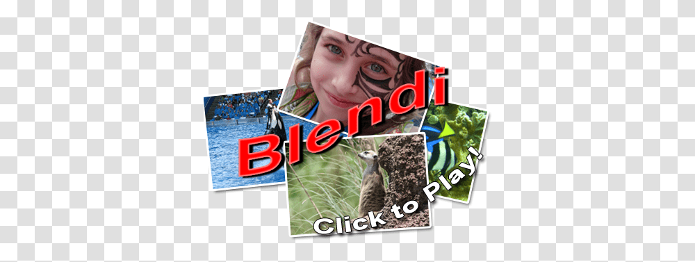 Play Free Yahtzee And Picture Blender Games Photomontage, Bird, Animal, Mammal, Pet Transparent Png