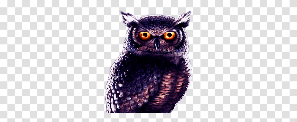 Play To The Nextgen Gaming Great Horned Owl, Bird, Animal, Beak, Chicken Transparent Png