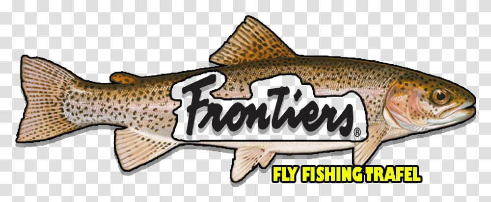 Playful Bold Google Icon Design For A Company By Rizart Salmonids, Fish, Animal, Trout, Coho Transparent Png