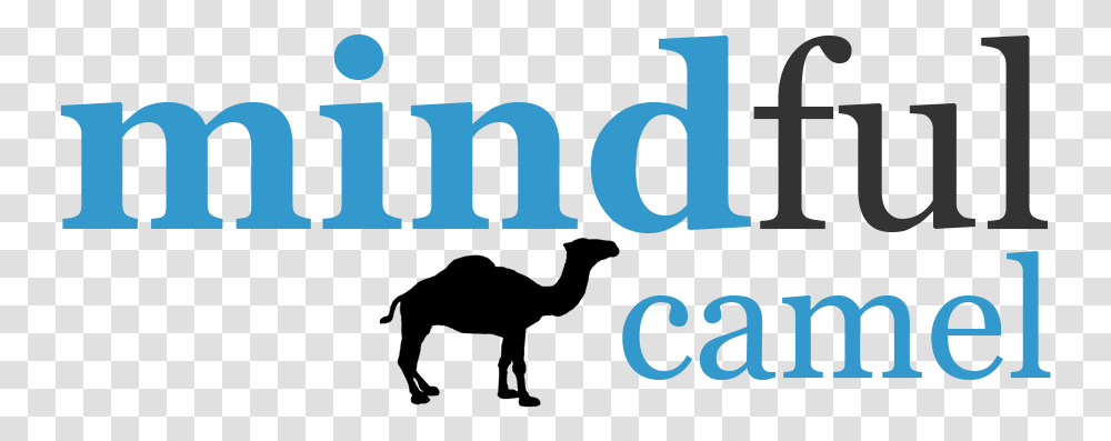 Playful Modern Logo Design For Mindful Calabria, Text, Word, Alphabet, Number Transparent Png