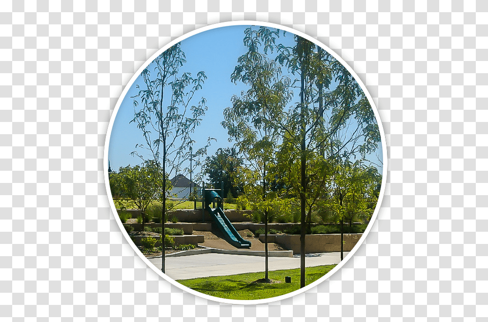 Playground Slide, Play Area, Tree, Plant, Toy Transparent Png