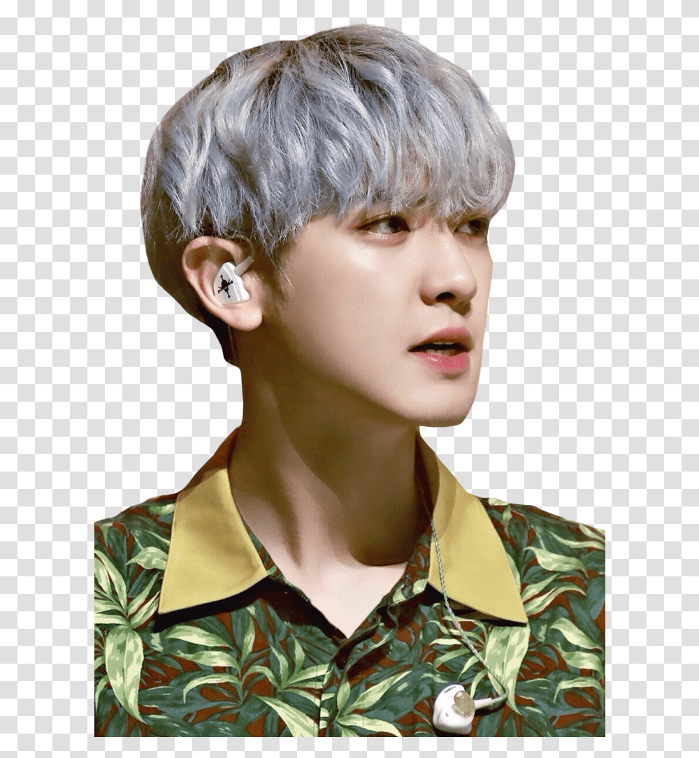 Please Do Not Copy My Sticker Chanyeol, Person, Human, Face, Hair Transparent Png