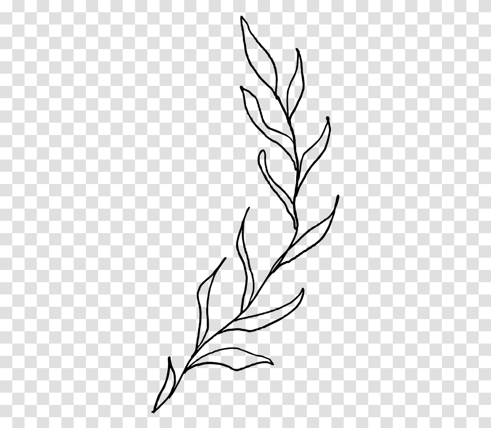 Please Give Credit When Used Aesthetic Plant Line Drawing, Gray, World Of Warcraft Transparent Png