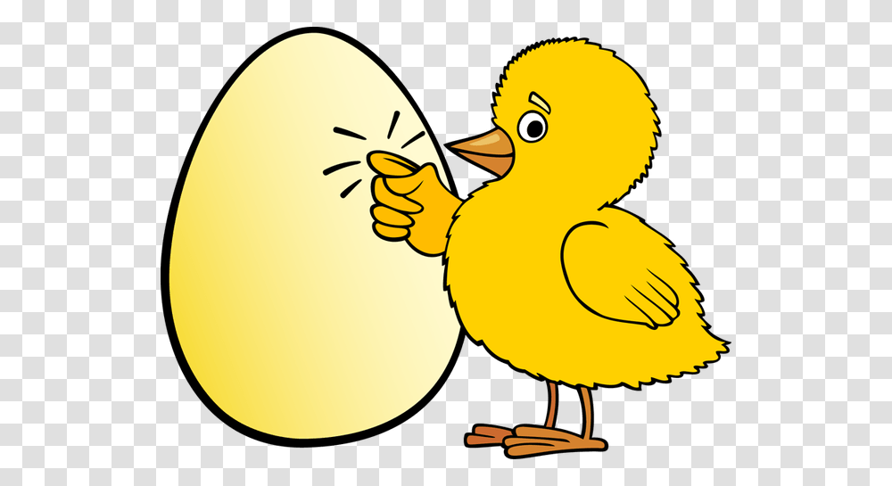 Please Knock Cliparts, Bird, Animal, Chicken, Poultry Transparent Png