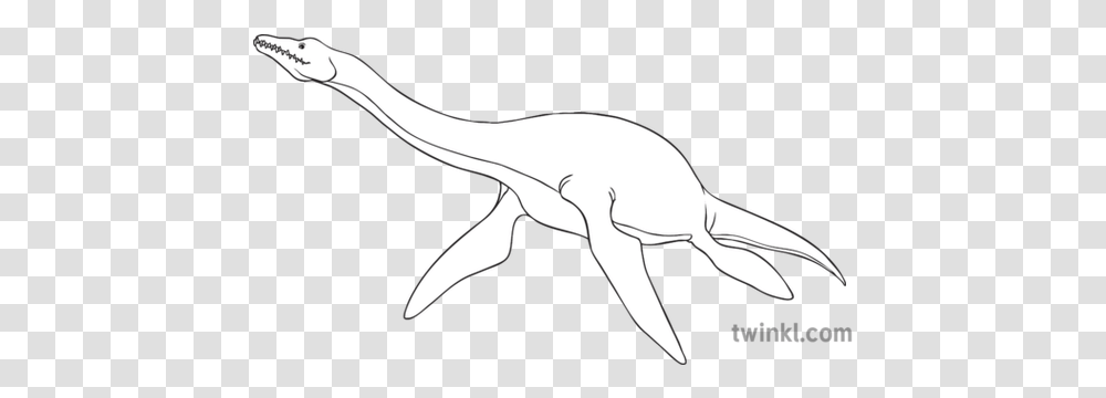 Plesiosaur Extinct Dinosaur Loch Ness Monster Nessie General Line Art, Animal, Sea Life, Shark, Fish Transparent Png