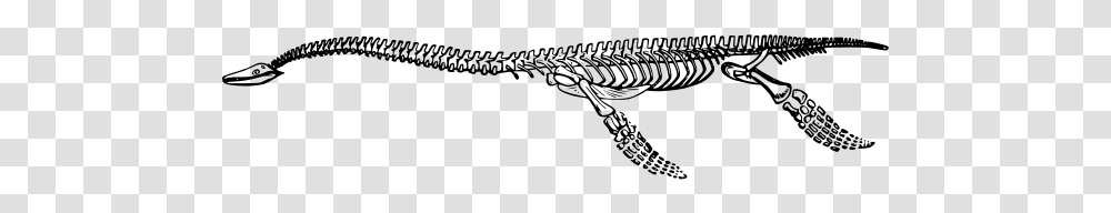 Plesiosaurus Skeleton Grass Snake, Gray, World Of Warcraft Transparent Png