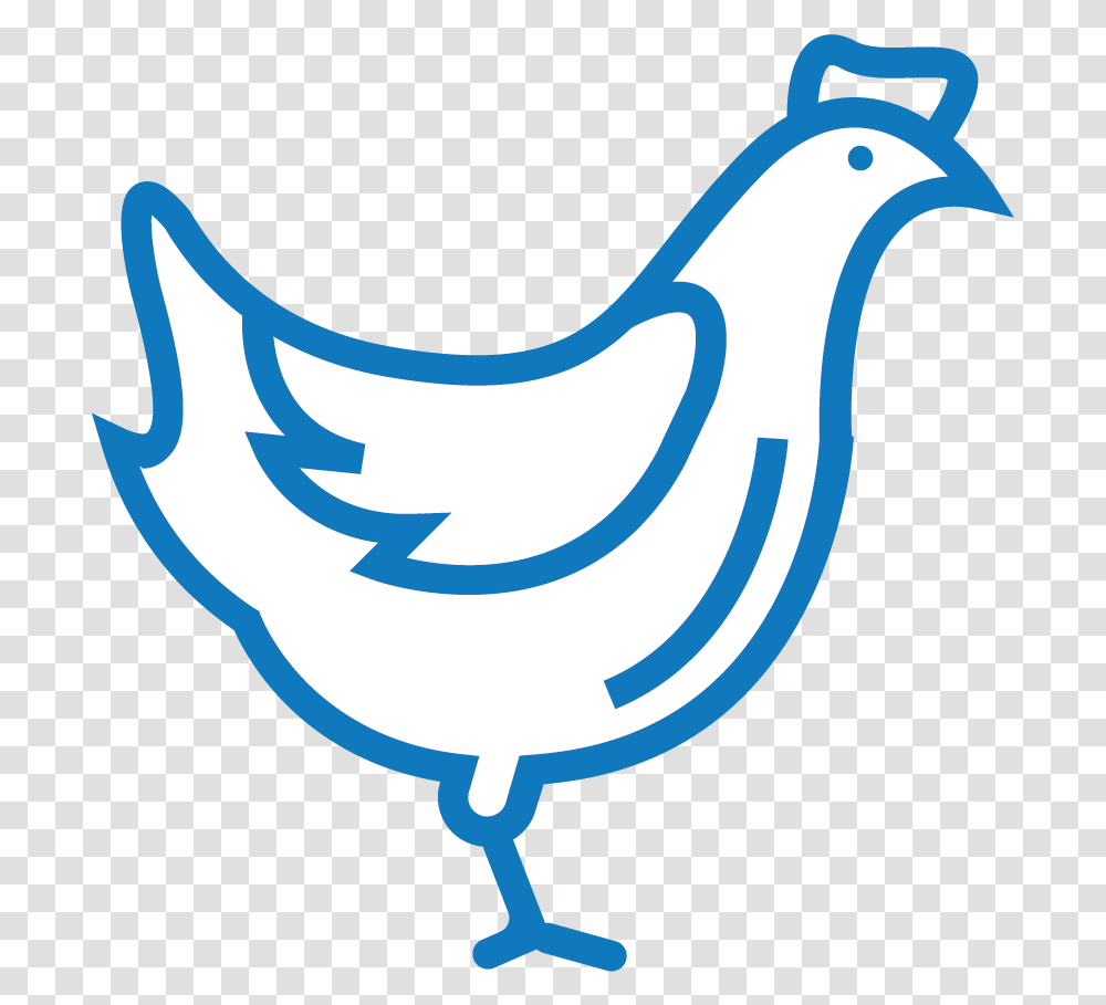 Plexus Chicken, Bird, Animal, Beak, Antelope Transparent Png
