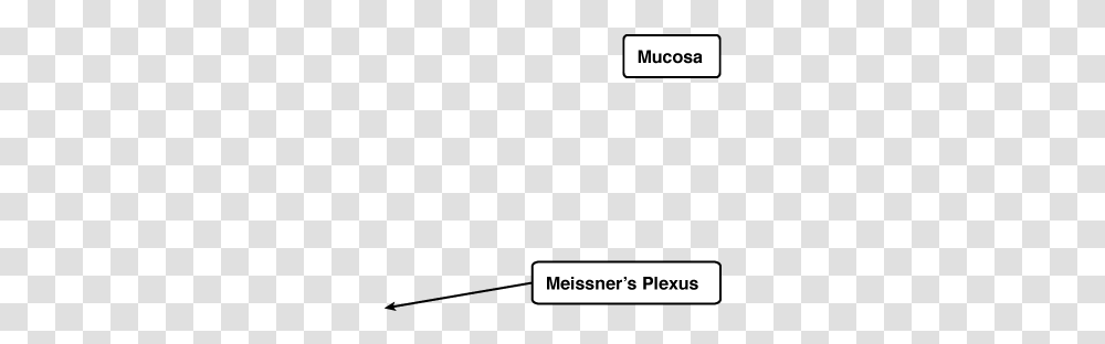 Plexus Empty, Text, Symbol, Number Transparent Png