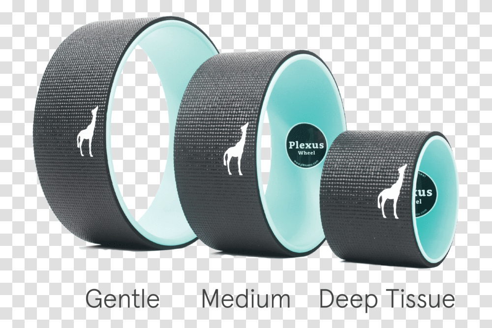 Plexus Logo Yoga Wheel Sizes, Tape, Bird, Animal Transparent Png