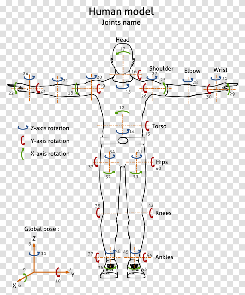 Plot, Diagram, Measurements Transparent Png