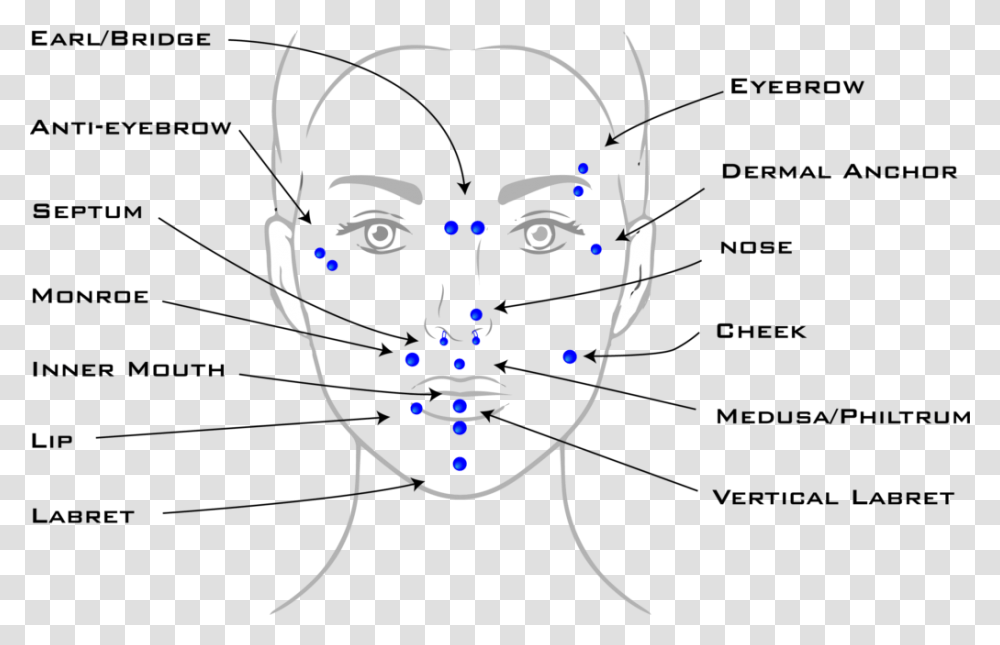 Plot, Face, Head, Portrait, Photography Transparent Png