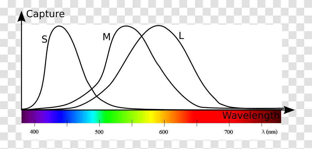 Plot, Measurements, Diagram, Number Transparent Png