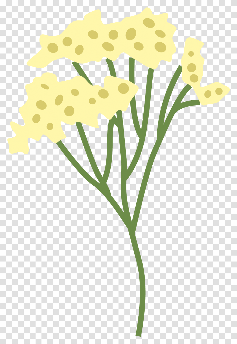 Plucea Indica Flower Tanacetum, Plant, Blossom, Petal, Daffodil Transparent Png