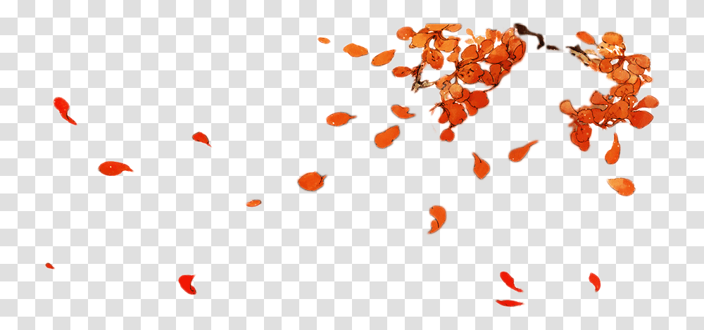 Plum Blossom Wallpaper Fall Leaves Falling, Plant, Animal, Produce, Food Transparent Png