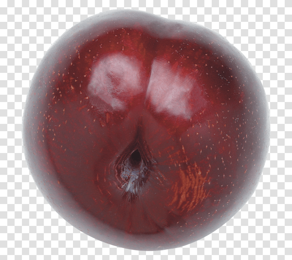 Plum Free Download Portable Network Graphics, Plant, Fruit, Food, Cherry Transparent Png