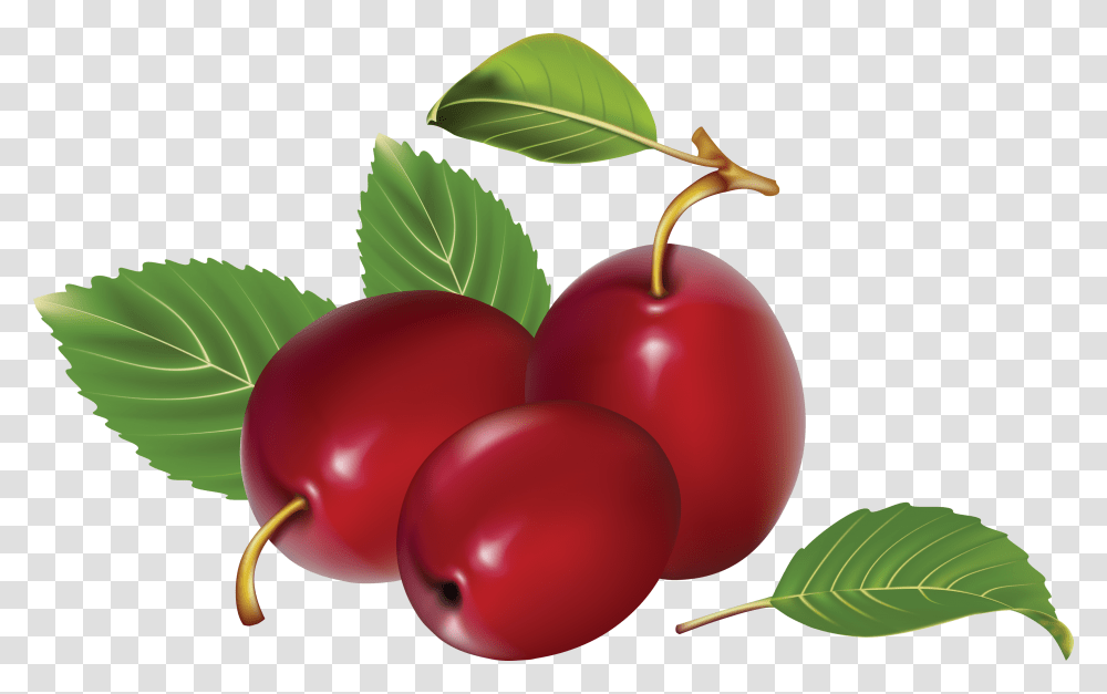 Plum, Fruit, Plant, Food, Cherry Transparent Png