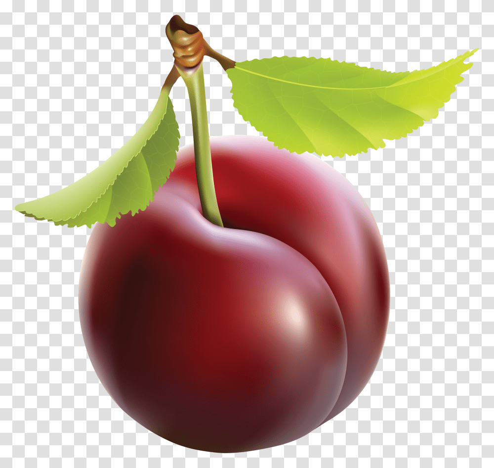 Plum, Fruit, Plant, Food, Cherry Transparent Png
