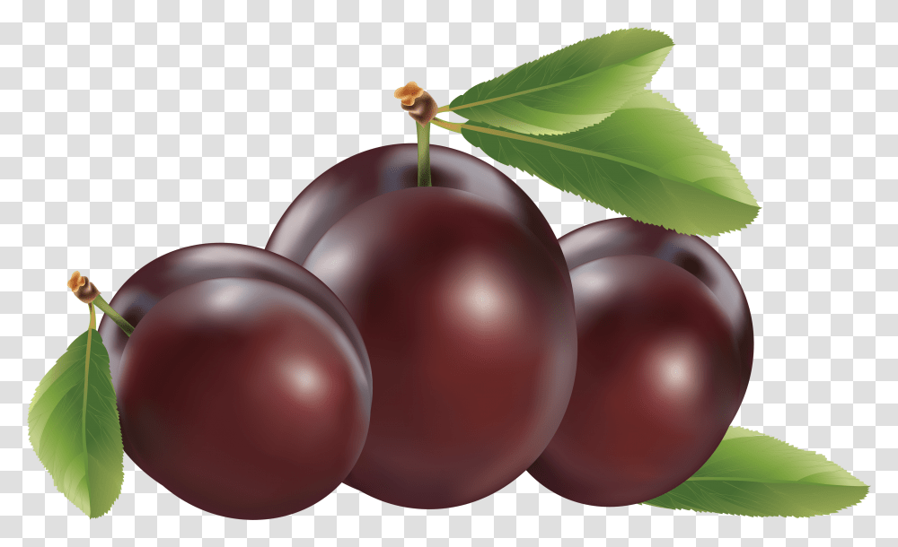 Plum, Fruit, Plant, Food, Grapes Transparent Png