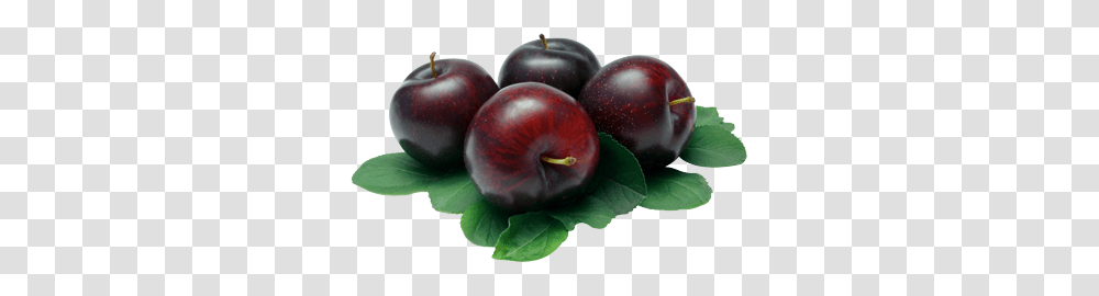 Plum, Fruit, Plant, Food Transparent Png