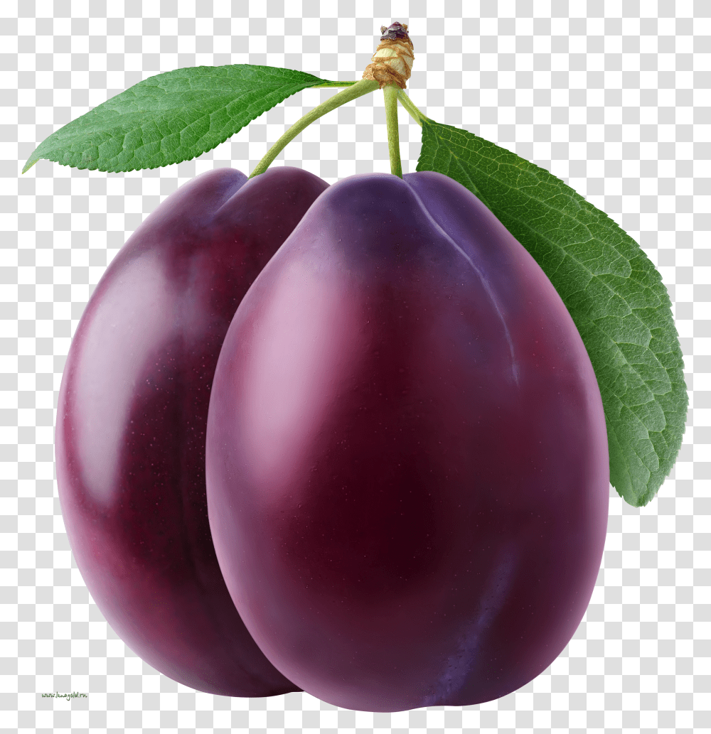 Plum, Fruit Transparent Png