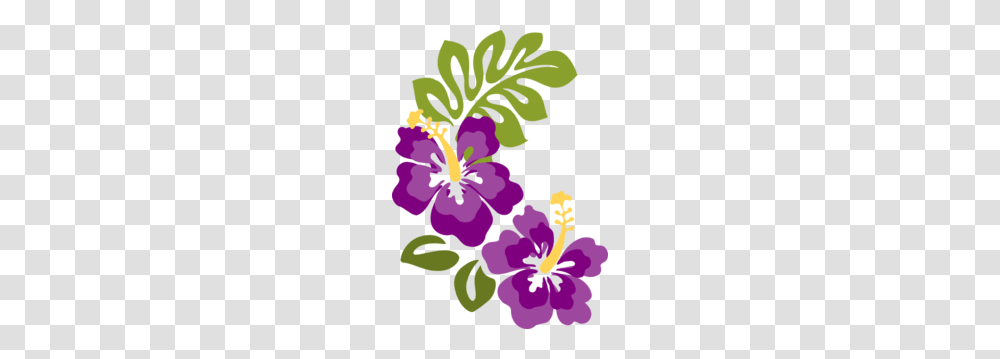 Plum Hibiscus Clip Hibiscus Clip Art Luau, Plant, Flower, Blossom, Poster Transparent Png