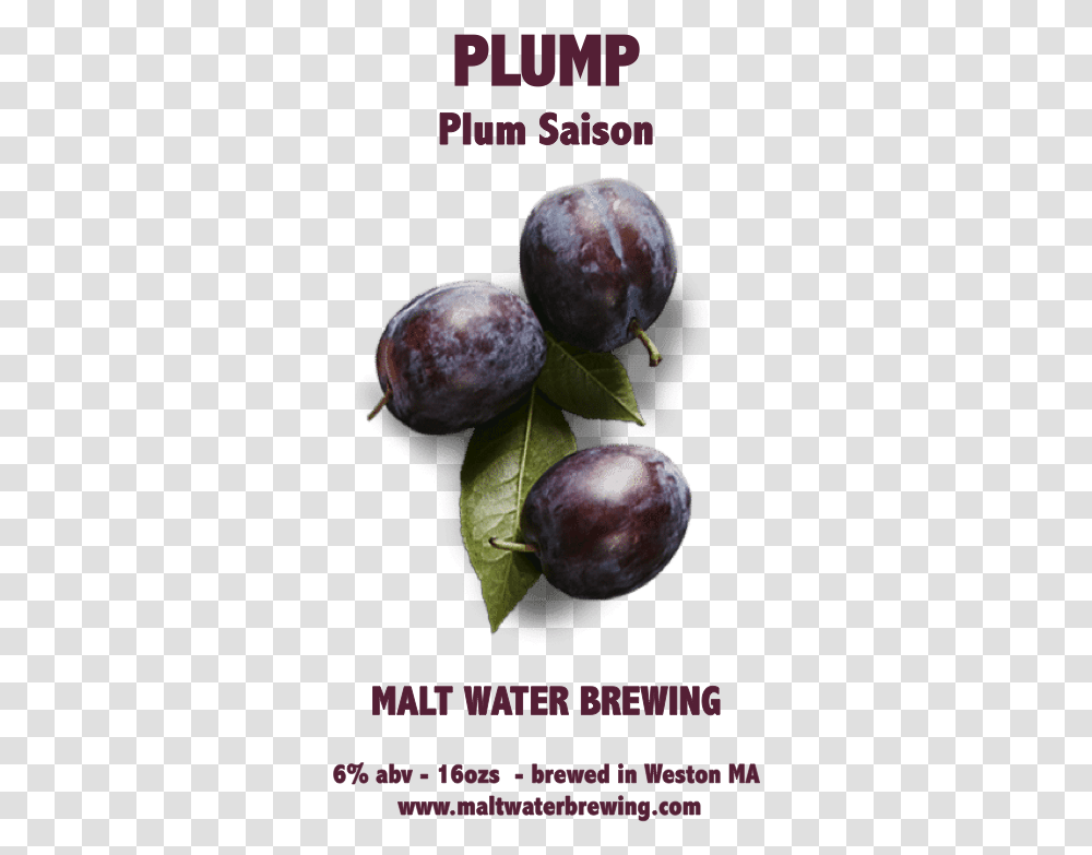 Plum Saison Plump Beach Plum, Plant, Fruit, Food Transparent Png