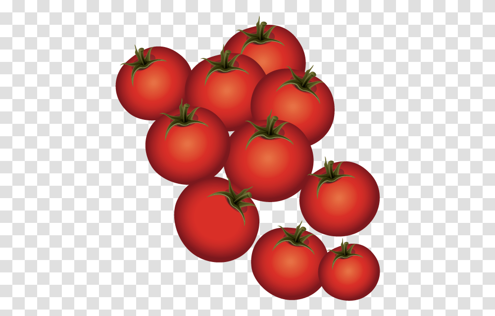 Plum Tomato Bush Tomato Tomato, Plant, Vegetable, Food Transparent Png