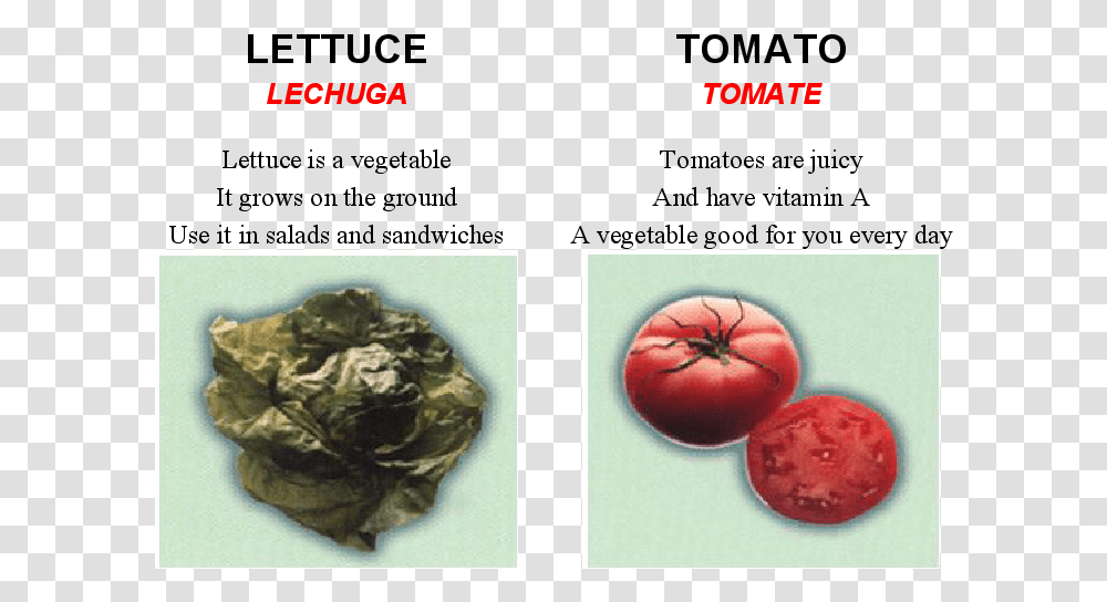 Plum Tomato, Plant, Food, Vegetable Transparent Png