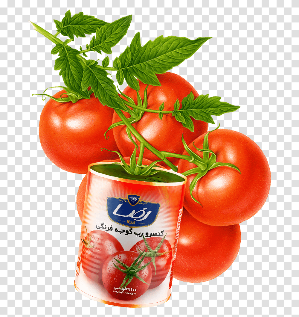 Plum Tomato, Plant, Food, Vegetable, Tin Transparent Png