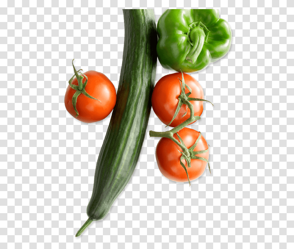 Plum Tomato, Plant, Vegetable, Food, Cucumber Transparent Png