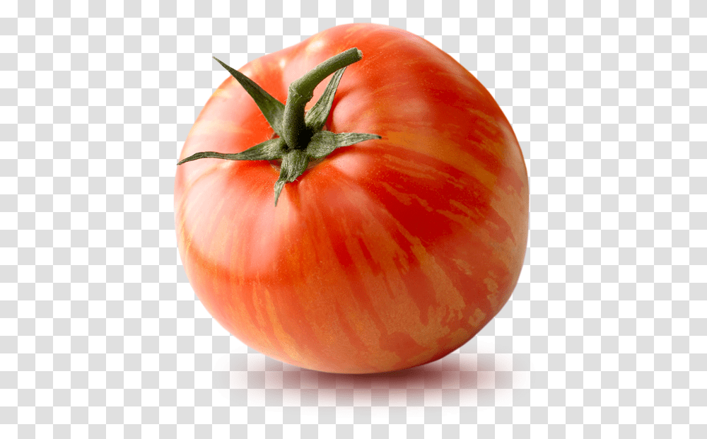Plum Tomato, Plant, Vegetable, Food, Insect Transparent Png