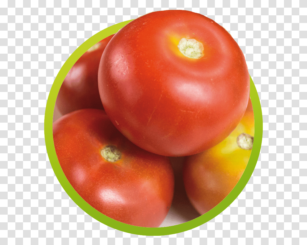 Plum Tomato, Plant, Vegetable, Food, Produce Transparent Png