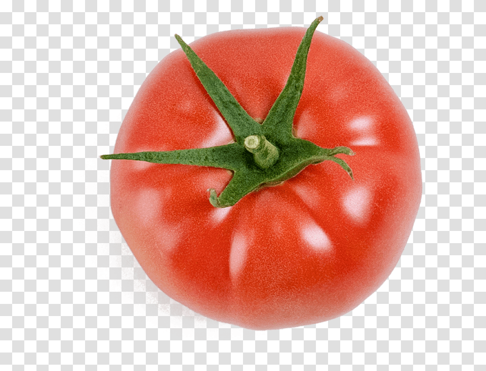 Plum Tomato, Plant, Vegetable, Food, Rose Transparent Png