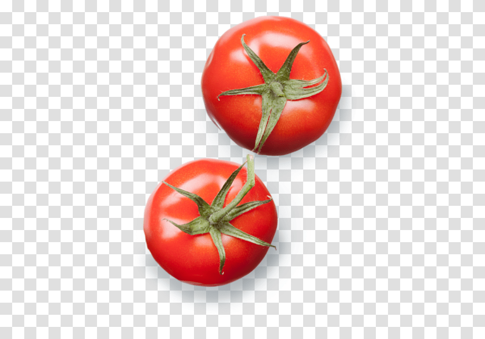 Plum Tomato, Plant, Vegetable, Food Transparent Png