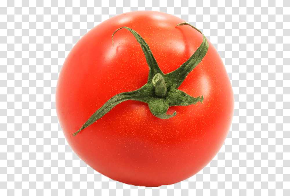 Plum Tomato, Plant, Vegetable, Food Transparent Png