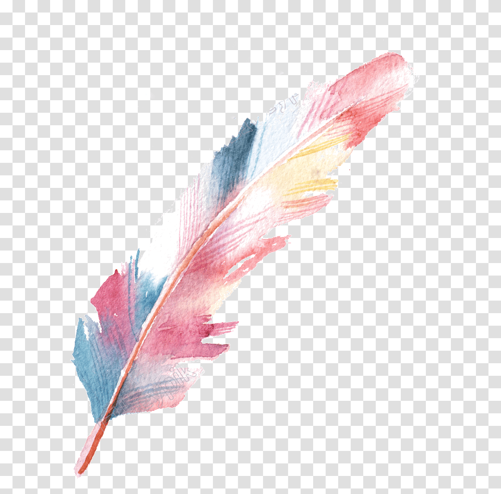 Pluma, Leaf, Plant, Bird, Animal Transparent Png