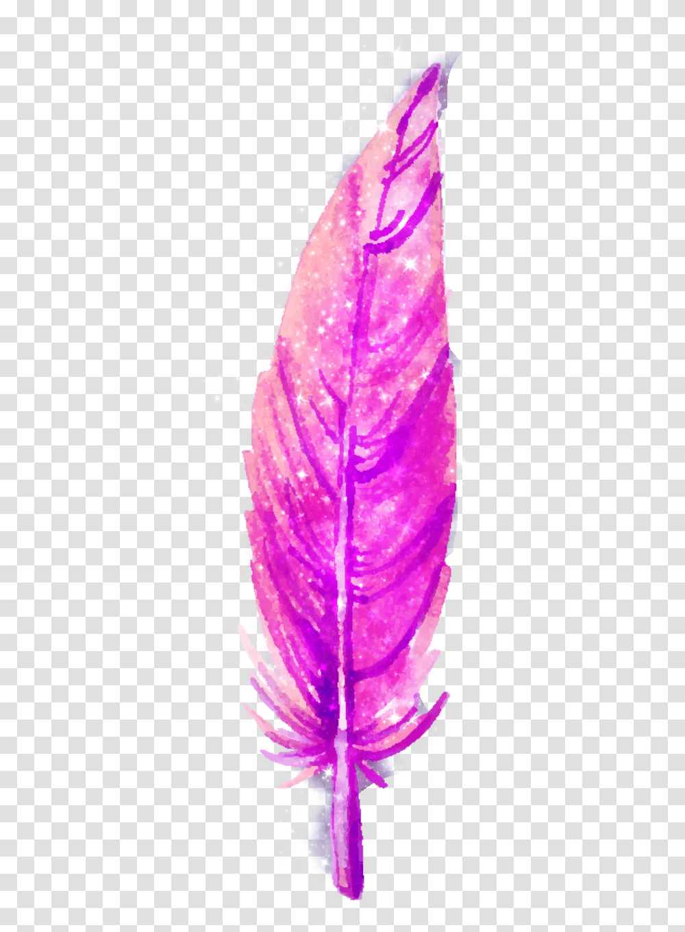 Pluma Tumblr Galaxy Tumblr Illustration, Purple, Plant, Petal, Flower Transparent Png