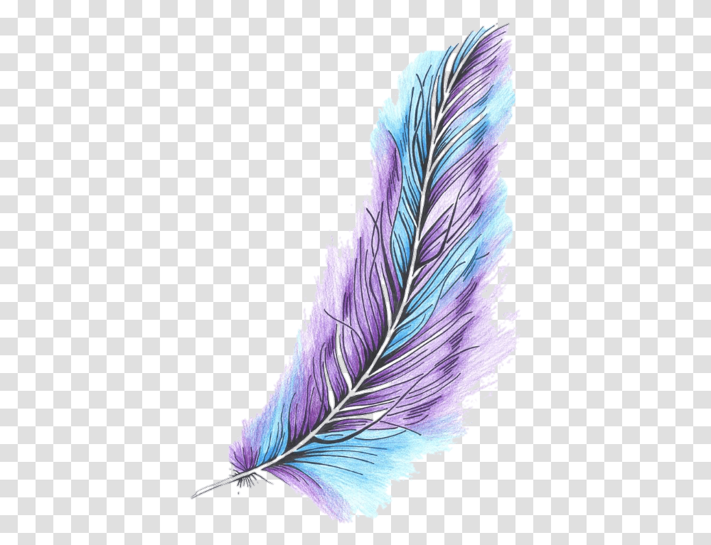 Plumas Tumblr 5 Image Color Drawing Of Feather, Purple, Bird Transparent Png