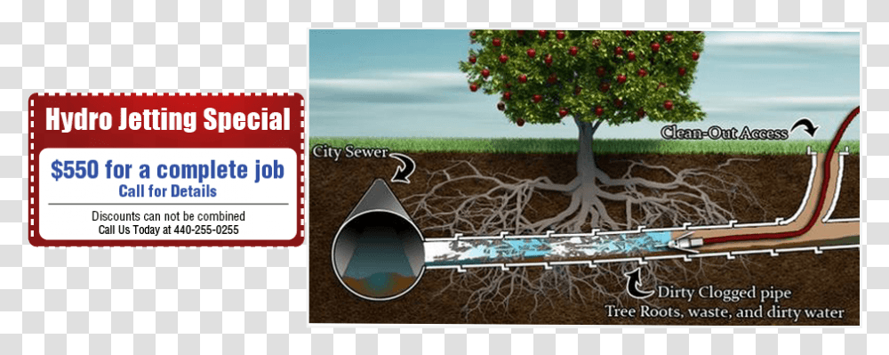 Plumber Fixing Pipe Sewer Rooter, Plant, Tree, Den Transparent Png