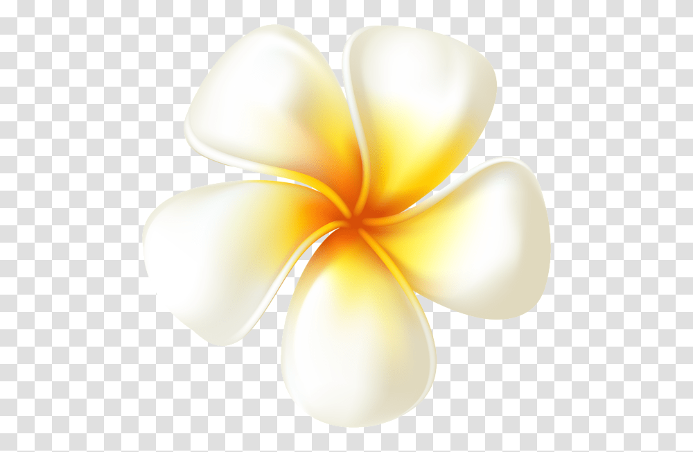 Plumeria Flower Clip Art Image Aa Flores, Lamp, Petal, Plant, Blossom Transparent Png