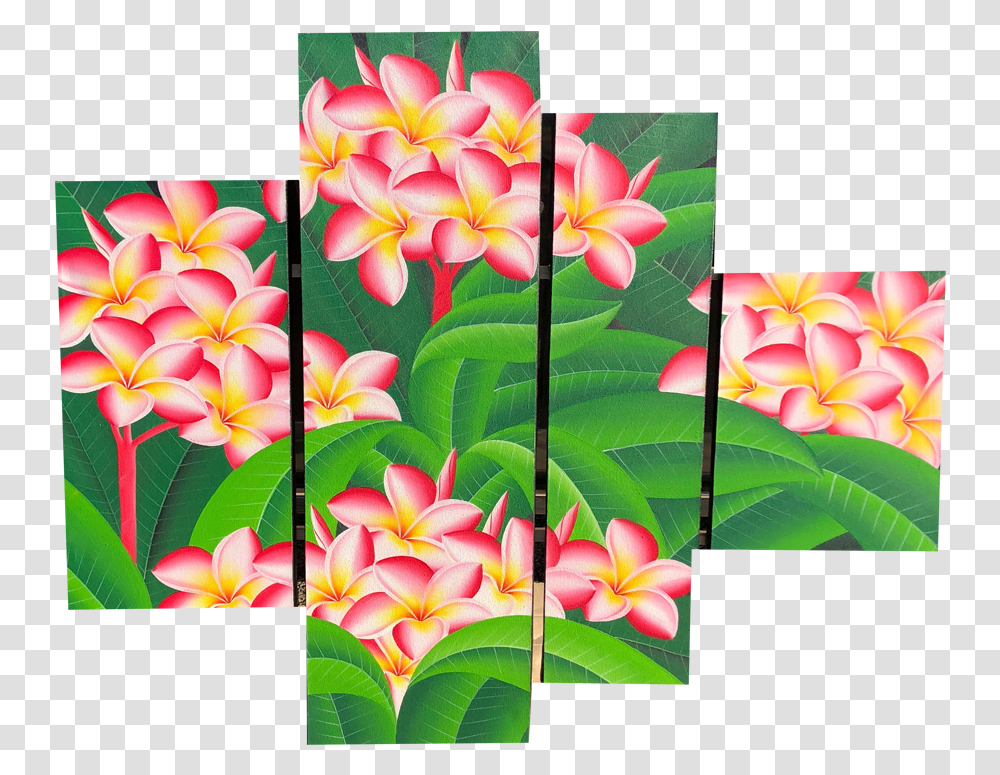 Plumeria Flower Frangipani, Collage, Poster, Advertisement Transparent Png
