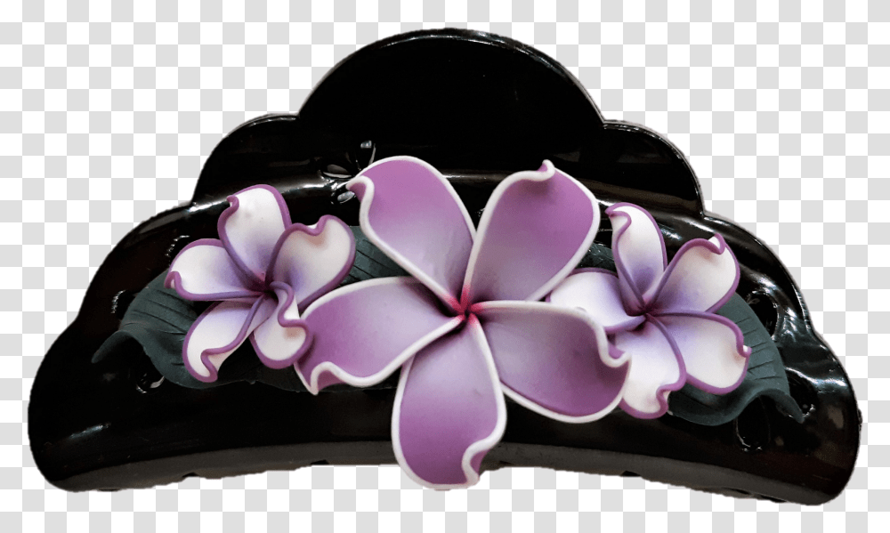 Plumeria Flower Frangipani, Plant, Accessories, Jewelry, Hair Slide Transparent Png