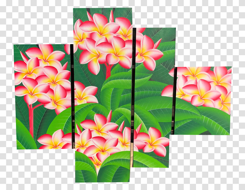 Plumeria Flower Portable Network Graphics, Collage, Poster, Advertisement, Art Transparent Png