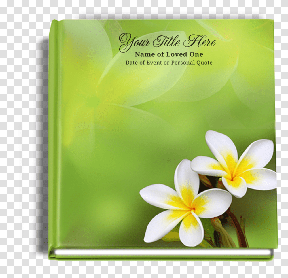 Plumeria Funeral Guest Book, Plant, Advertisement, Poster, Flower Transparent Png